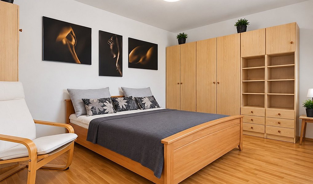 Pronájem bytu 2+1 52 m², Brno – náhled fotky 2