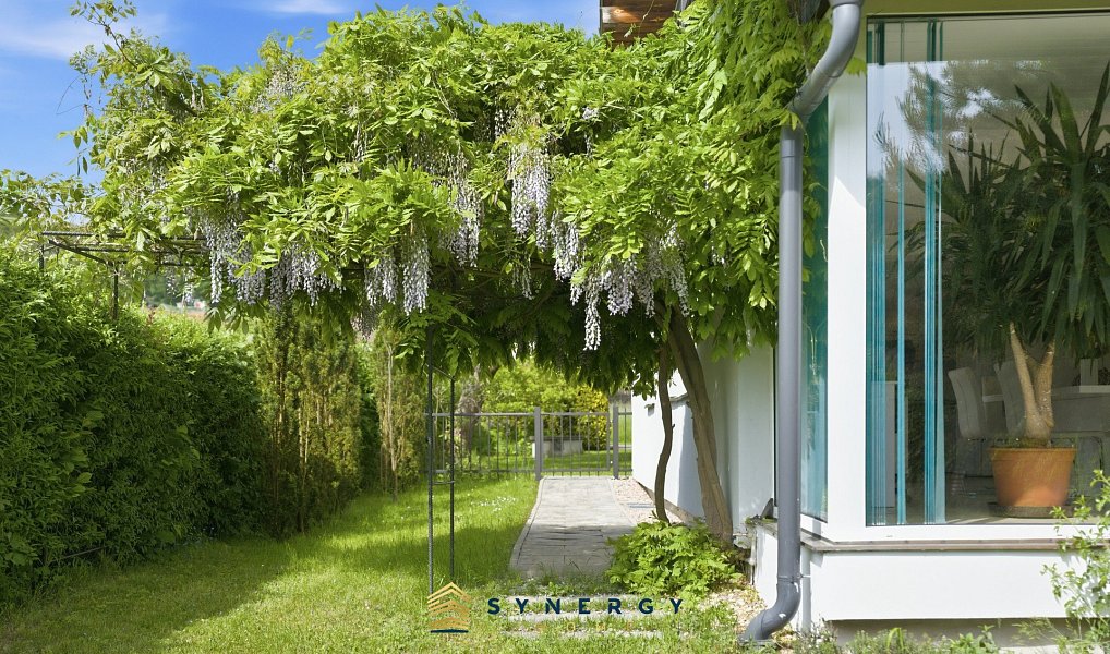 Prodej domu 283 m² s pozemkem 1 411 m², Děčín – náhled fotky 7