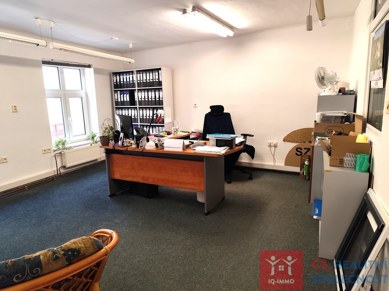Prodej obchodních prostor 326 m² – pohled 5
