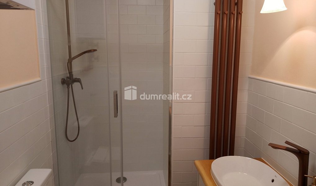 Pronájem bytu 1+kk 20 m², Karlovy Vary – náhled fotky 21