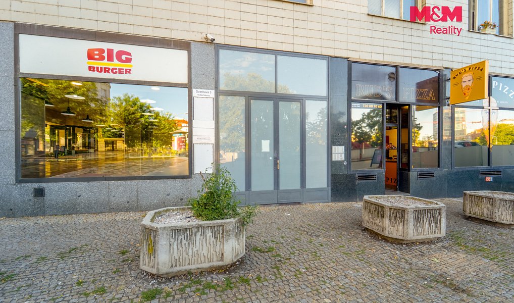 Pronájem bytu 1+1 34 m², Plzeň – náhled fotky 18