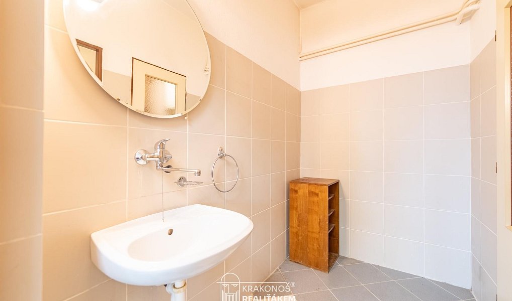 Pronájem komerčního objektu (jiného typu) 96 m², Hranice – náhled fotky 20