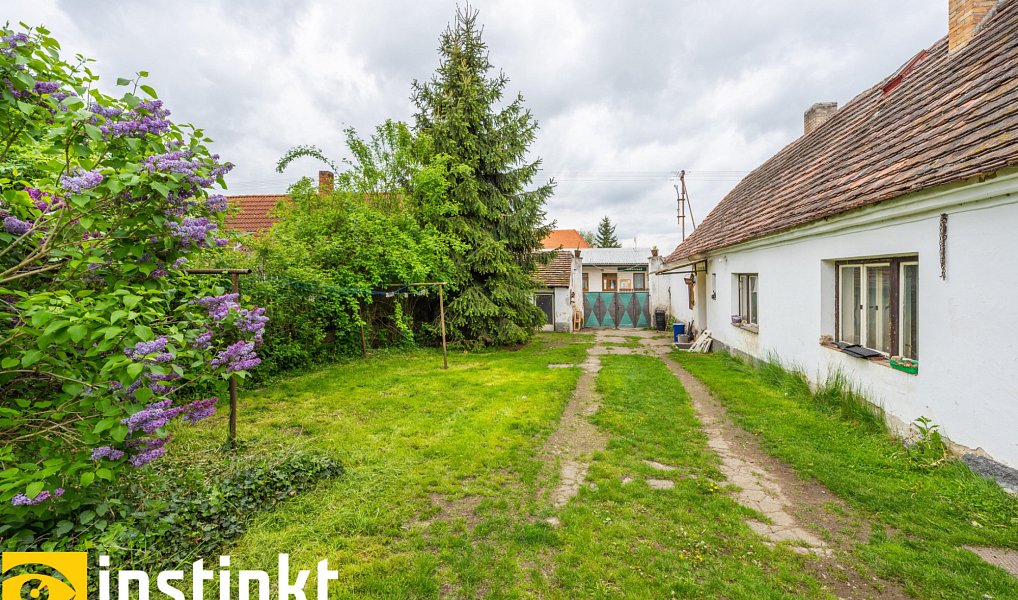 Prodej domu 192 m² s pozemkem 3 008 m², Předotice – náhled fotky 11