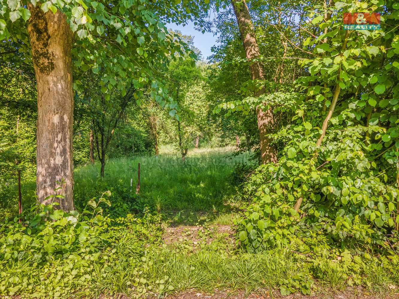 Fotka 7 z 11