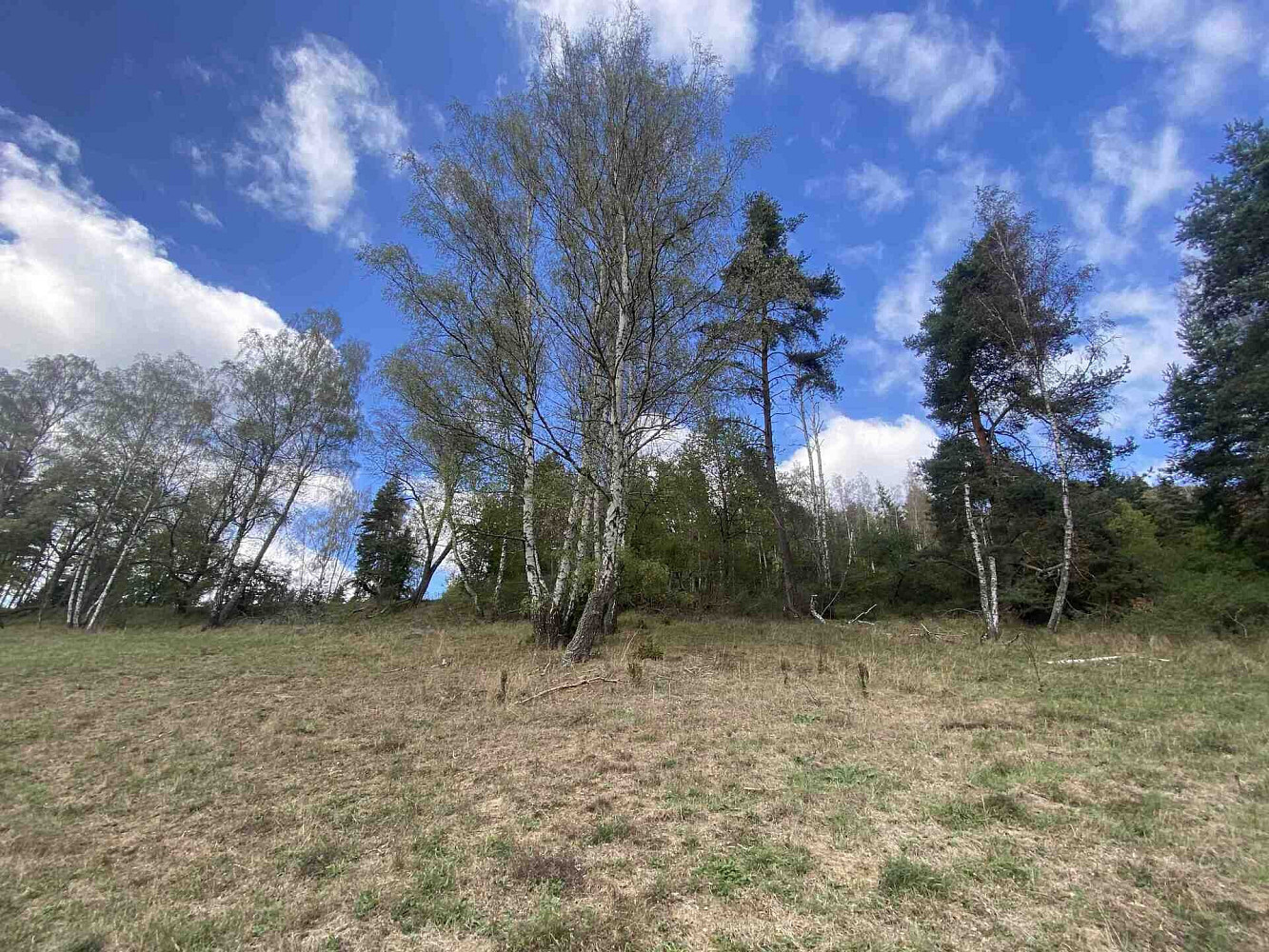 Prodej pole 1 114 m² – fotografie 3