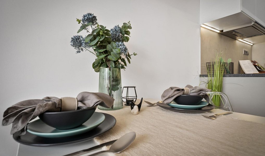 Prodej bytu 2+kk 46 m², Brno – náhled fotky 24