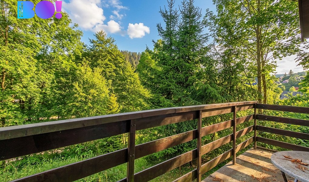 Prodej chaty/chalupy 70 m² s pozemkem 400 m², Krásné – náhled fotky 10