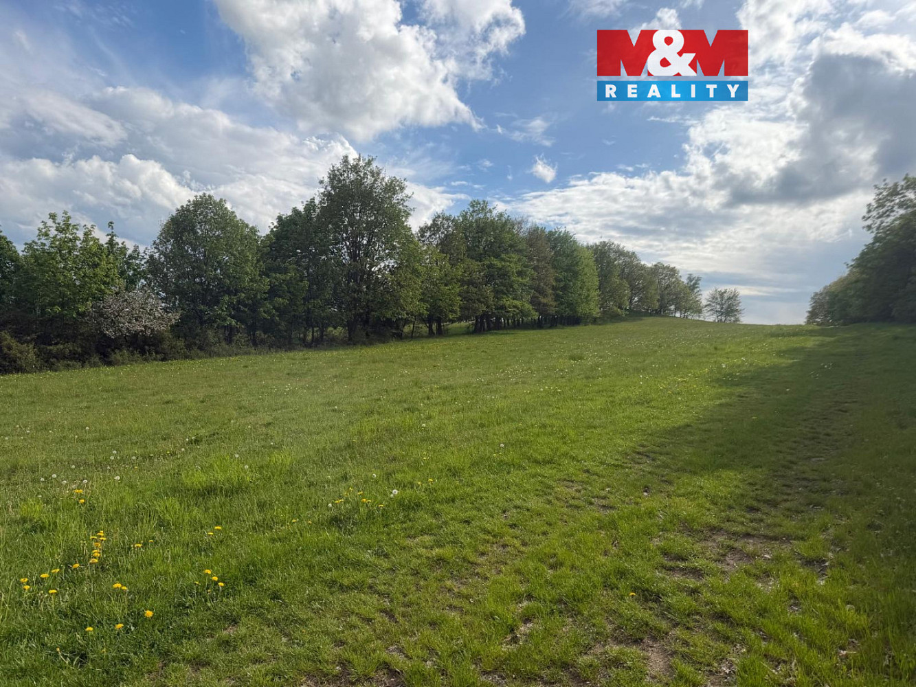 Prodej louky 41 016 m²