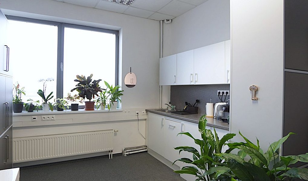 Pronájem kanceláře 35 m², Brno – náhled fotky 5