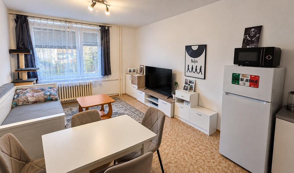 Pronájem bytu 1+kk 25 m², Podbořany – náhled fotky 4