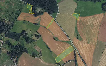 Prodej pole 25 411 m², Jimramov - Ubušín, okres Žďár nad Sázavou