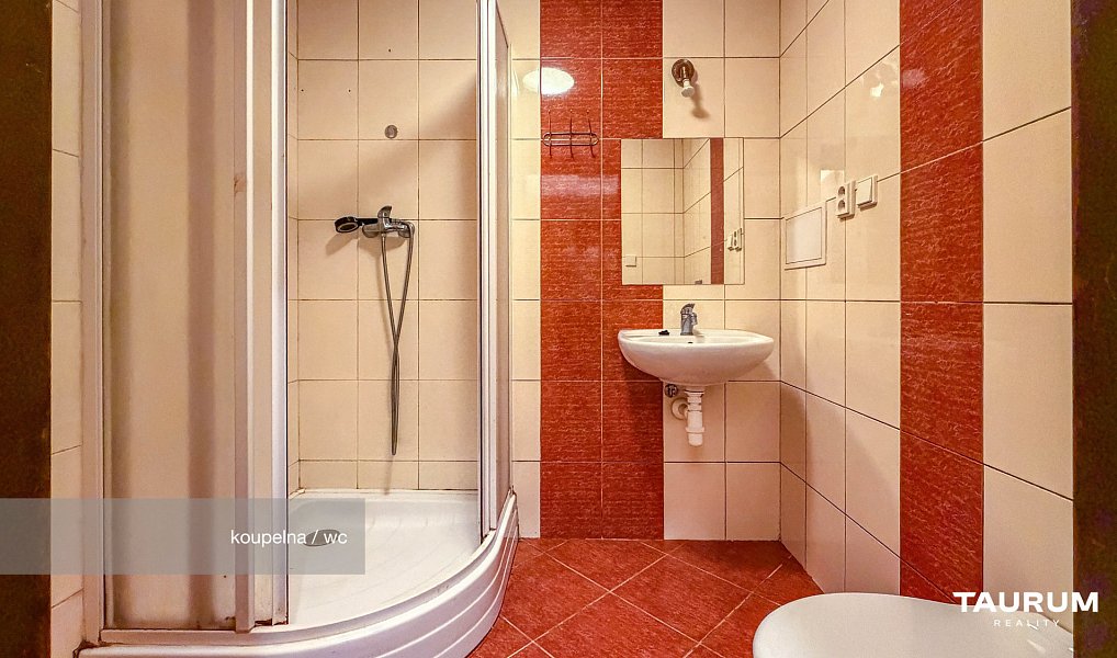 Prodej bytu 1+kk 24 m², Plzeň – náhled fotky 10
