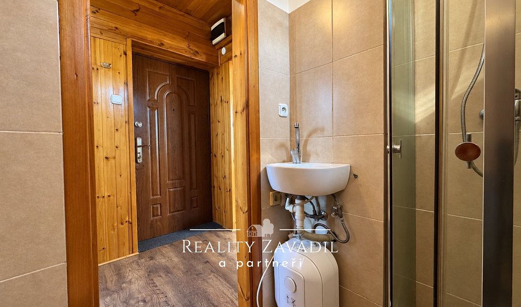 Pronájem bytu 1+1 55 m², Český Těšín – náhled fotky 3