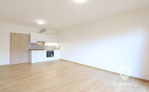 Pronájem bytu 1+kk 37 m², Lázeňská, Slaný, okres Kladno