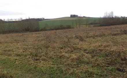 Prodej pozemku 1 445 m², Srby, okres Plzeň-Jih