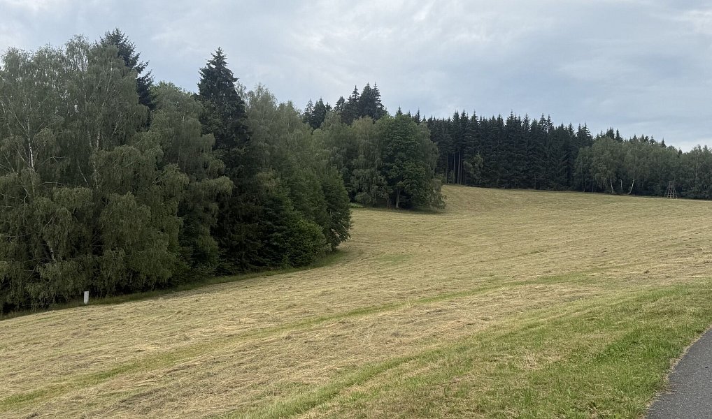Prodej louky 84 928 m², Hamry – náhled fotky 6