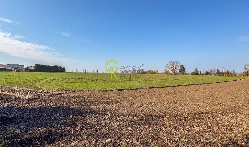 Prodej komerčního pozemku 11 770 m², Předměřice nad Labem – náhled fotky 8