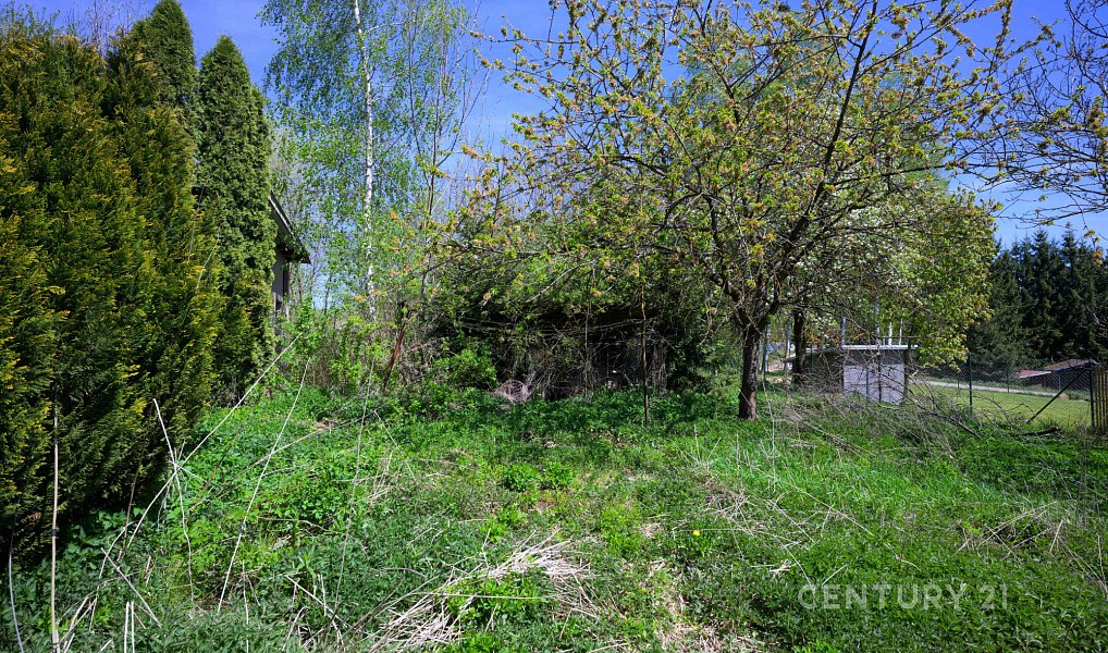 Prodej domu 100 m² s pozemkem 947 m², Havlíčkova Borová – náhled fotky 9