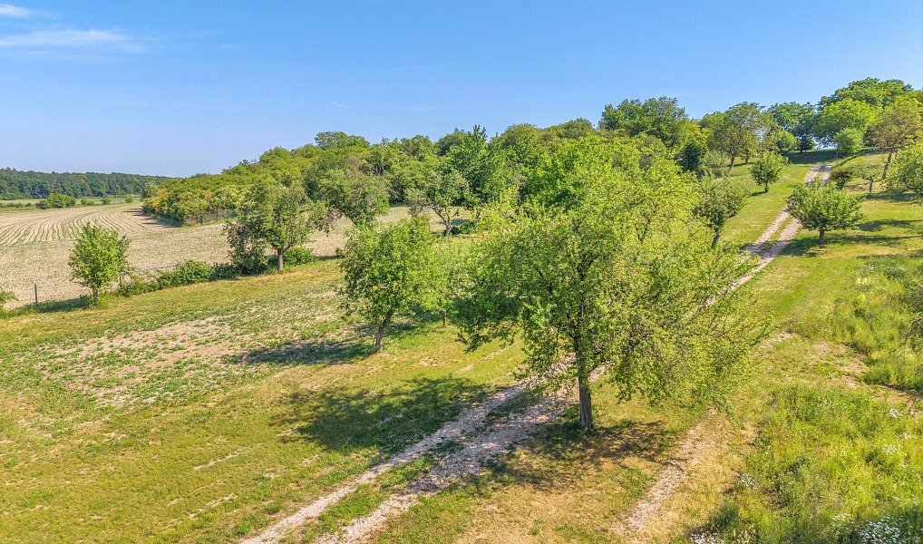 Prodej zahrady 8 945 m², Olešnice – náhled fotky 9
