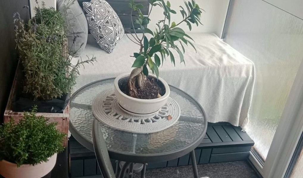 Prodej bytu 4+1 90 m², Pelhřimov – náhled fotky 10