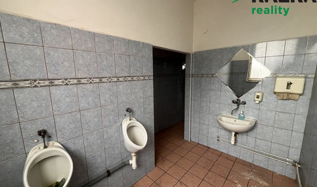 Pronájem komerčního objektu (jiného typu) 291 m², Tachov – náhled fotky 11