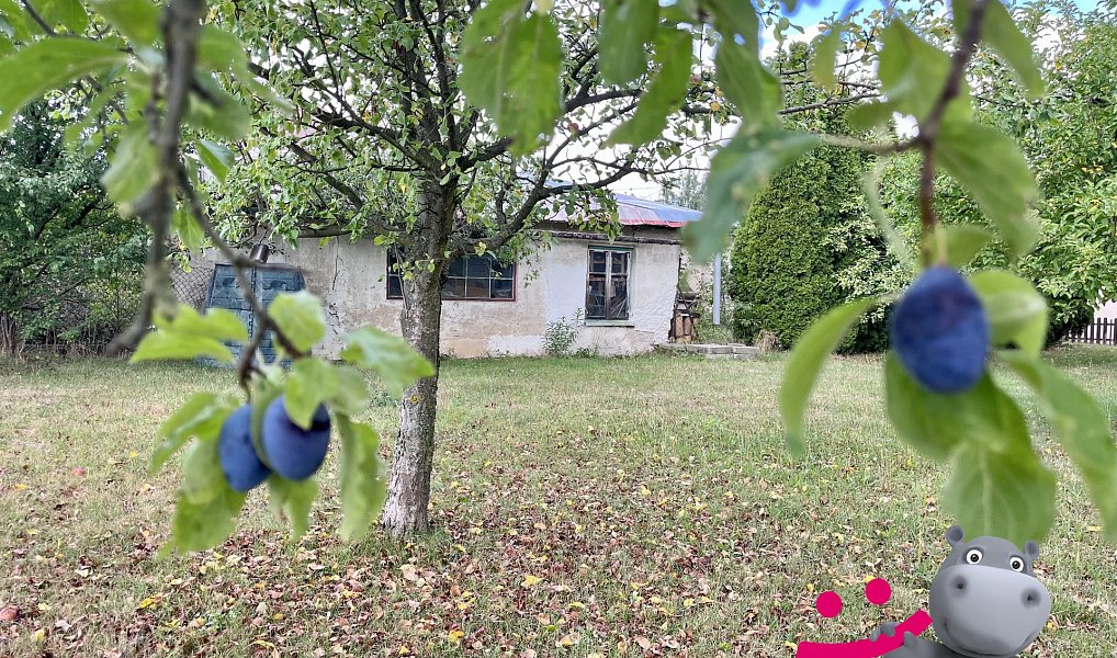 Prodej domu 111 m² s pozemkem 1 518 m², Bernartice – náhled fotky 23