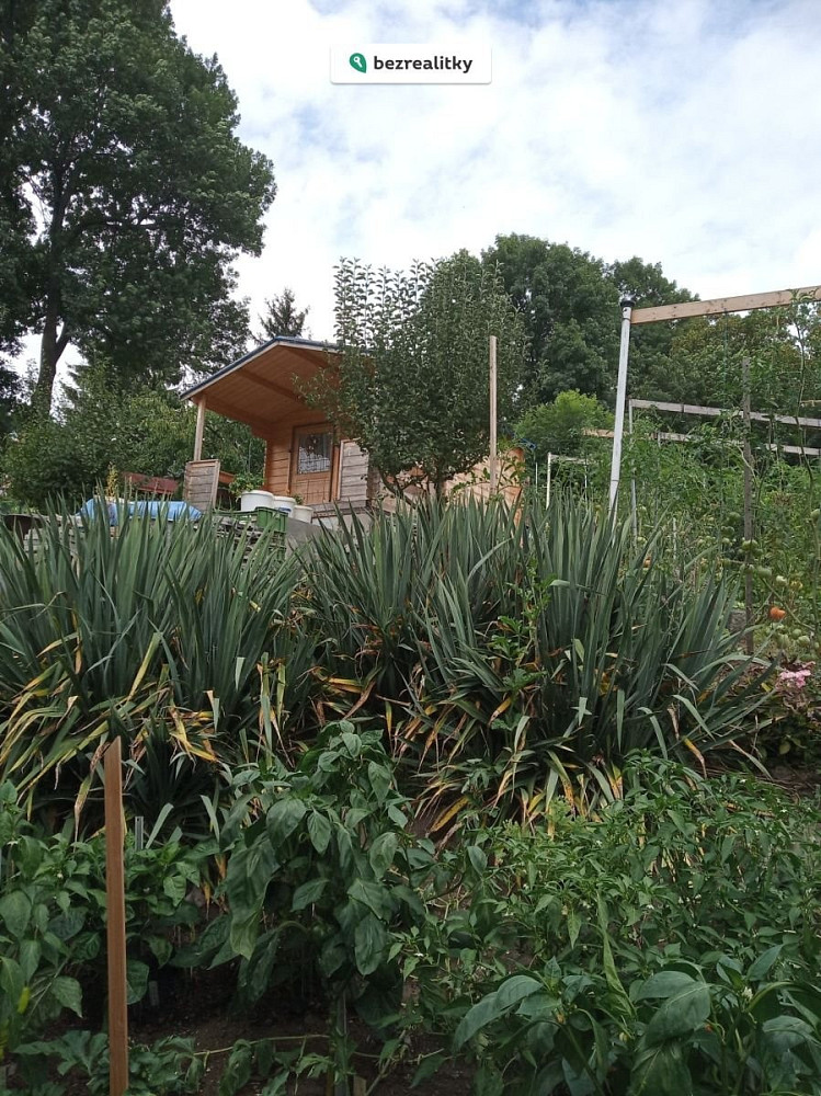 Prodej zahrady 290 m² – fotografie 4