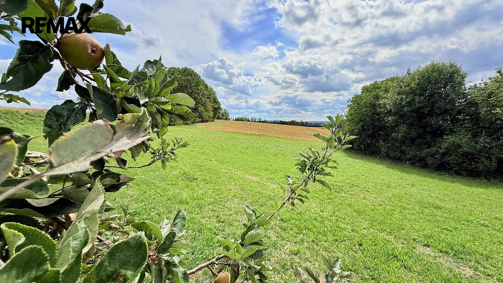 Prodej stavebního pozemku 2 585 m²