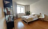 Ostatní