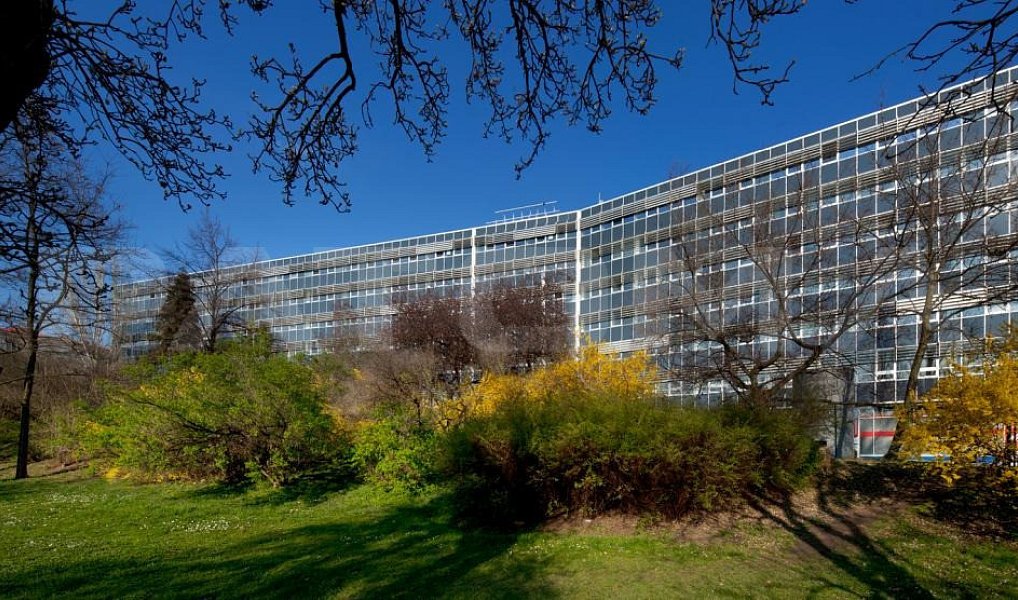 Pronájem kanceláře 215 m², Praha – náhled fotky 9