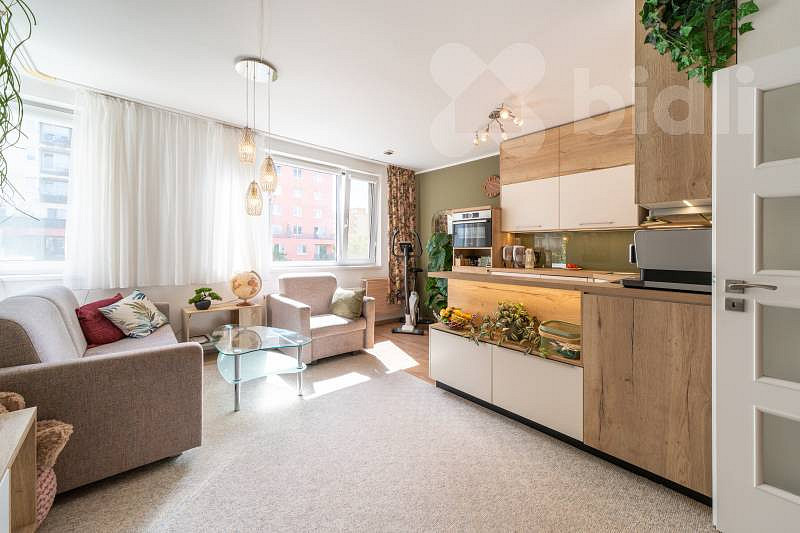 Pronájem bytu 2+kk 54 m² – pohled 2