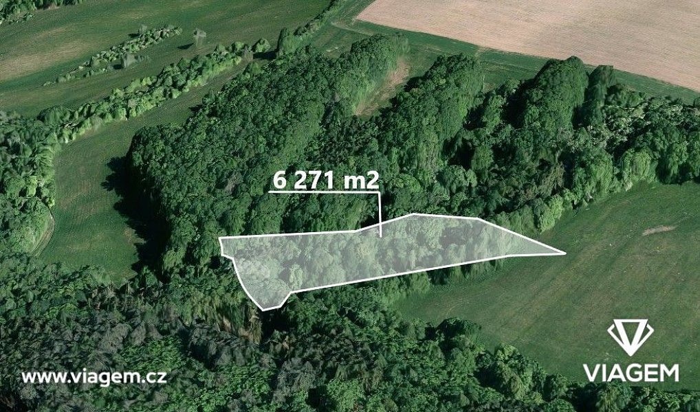 Prodej lesa 1 567 m², Velký Ořechov – fotka 1 z 5