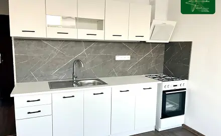 Pronájem bytu 1+1 40 m²