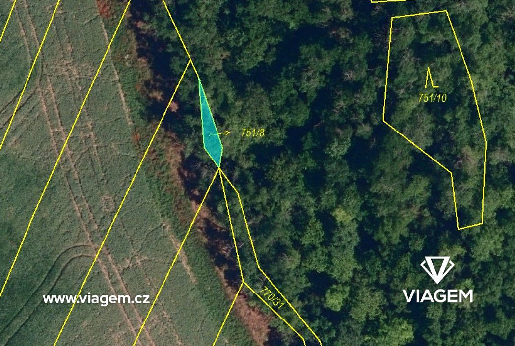 Prodej pole 559 m² – fotografie 5