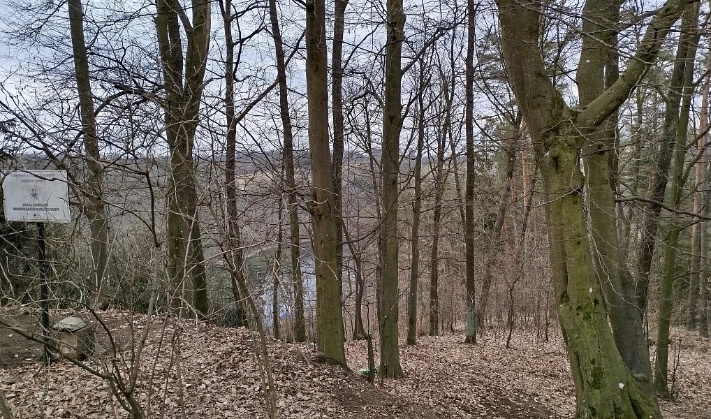 Prodej chaty/chalupy 31 m², Křižanovice – náhled fotky 12