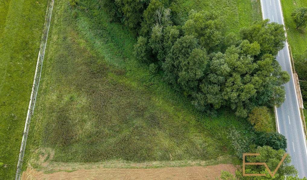Prodej pozemku 3 603 m², Krušovice – fotka 1 z 6