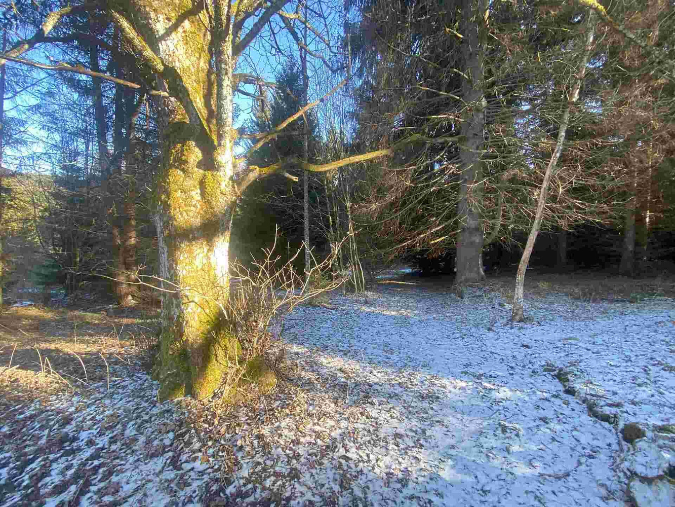 Prodej pozemku 2 391 m²