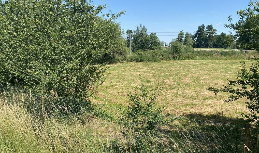 Prodej chaty/chalupy 410 m² s pozemkem 3 853 m², Jílovice – náhled fotky 5