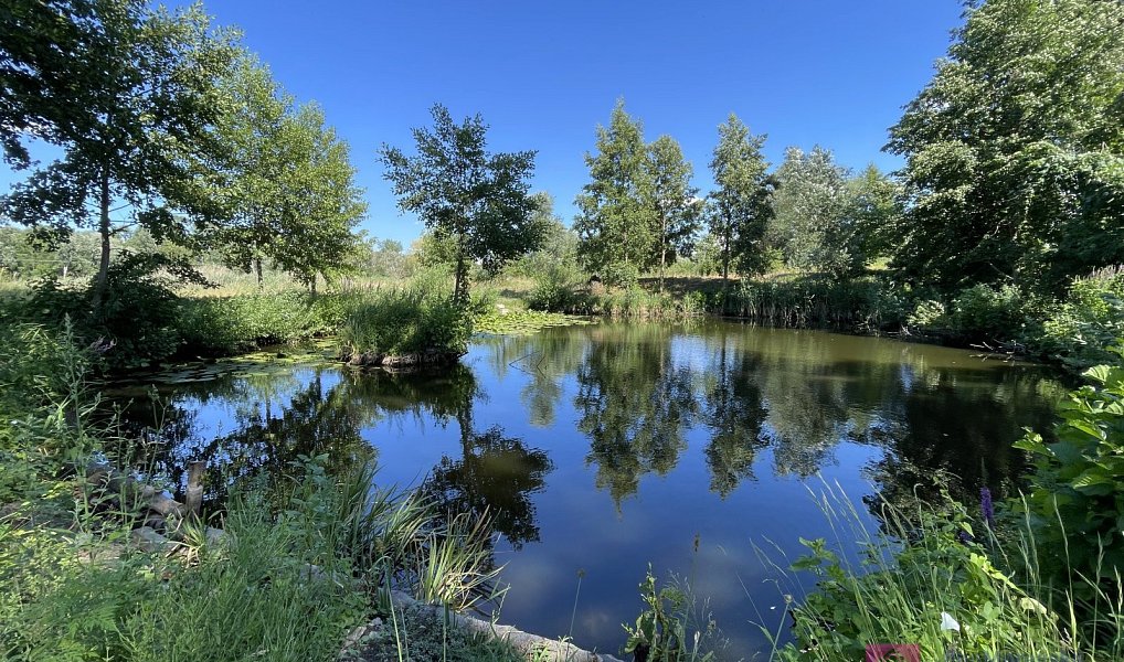 Prodej stavebního pozemku 4 463 m², Břeclav – fotka 1 z 21