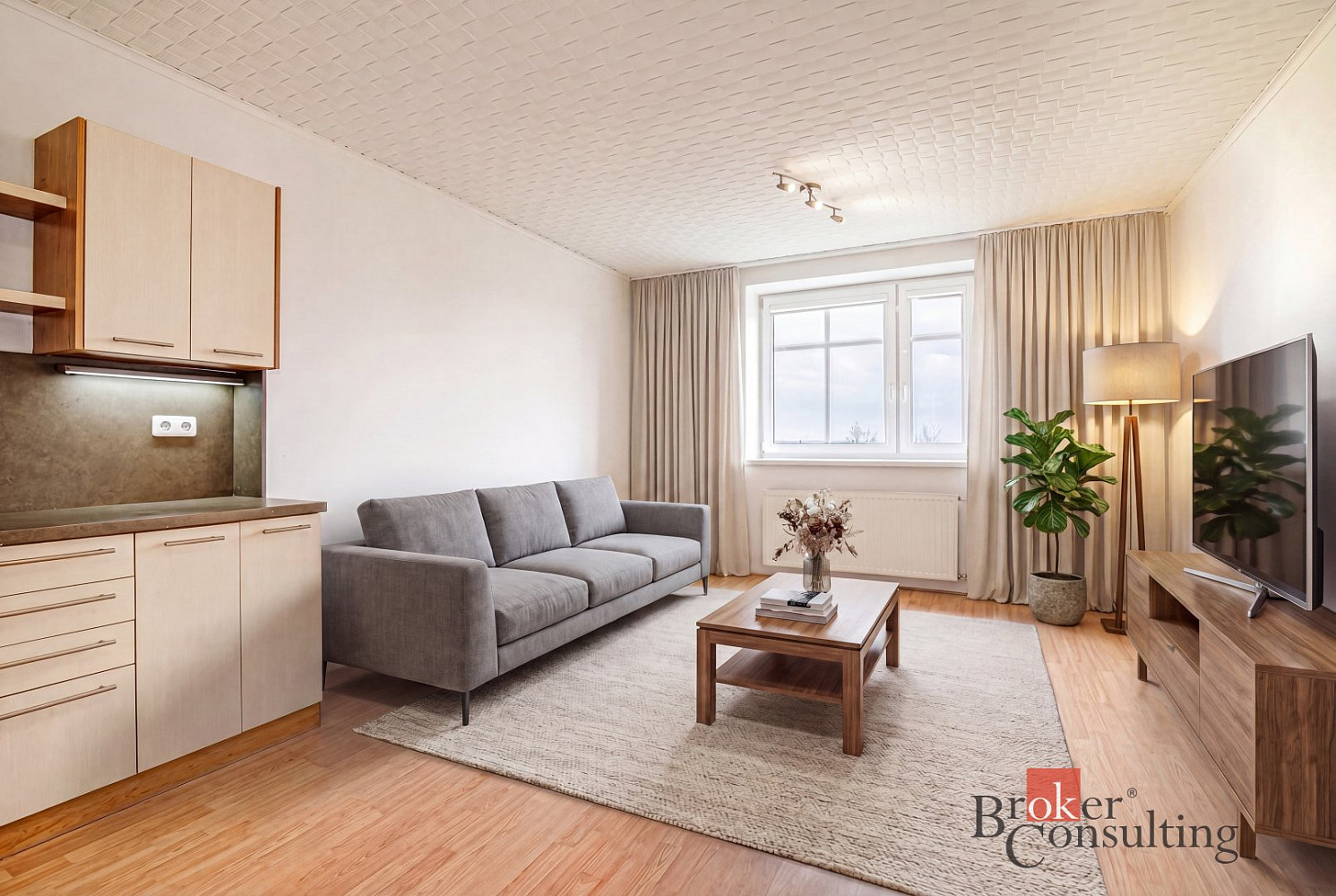 Prodej bytu 3+kk 63 m² — photo 3