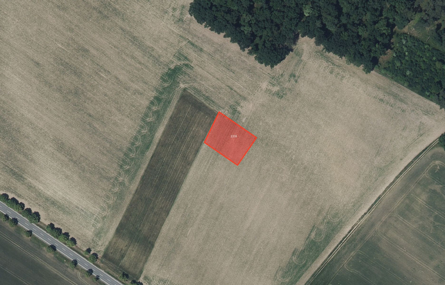 Prodej pole 4 376 m² — photo 2