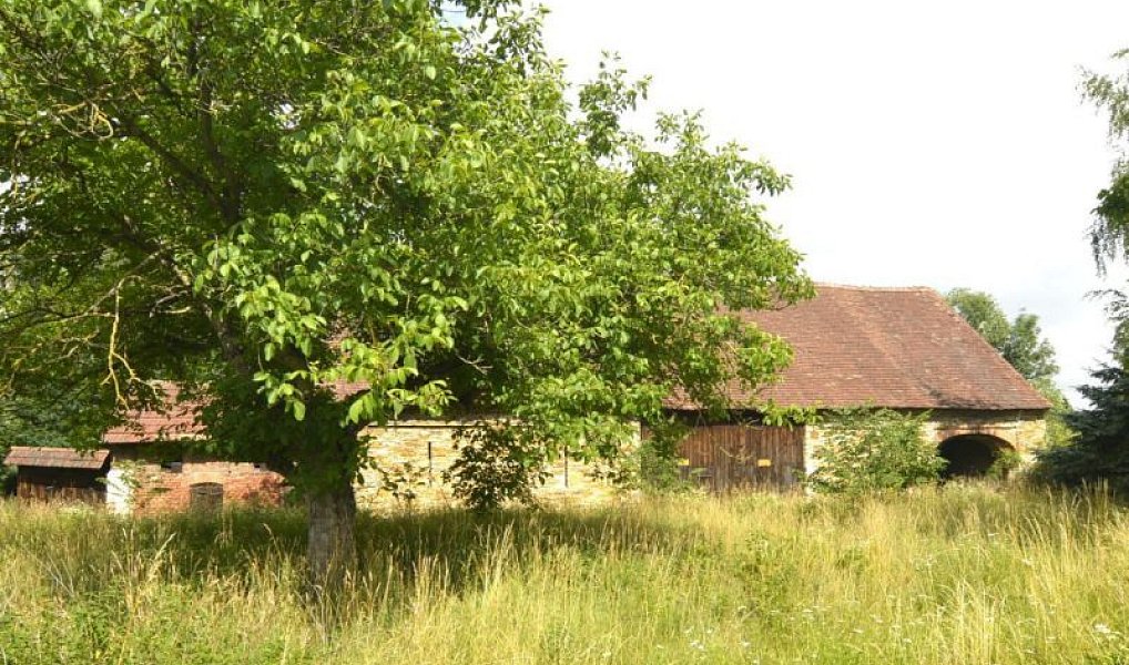 Prodej domu 250 m² s pozemkem 11 187 m², Bolehošť – náhled fotky 5