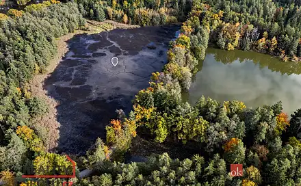 Prodej vodní plochy 64 790 m², Chlum u Třeboně - Žíteč, okres Jindřichův Hradec