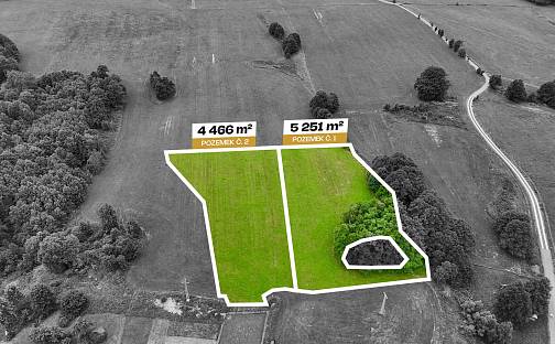 Prodej stavebního pozemku 9 697 m², Pulečný, okres Jablonec nad Nisou