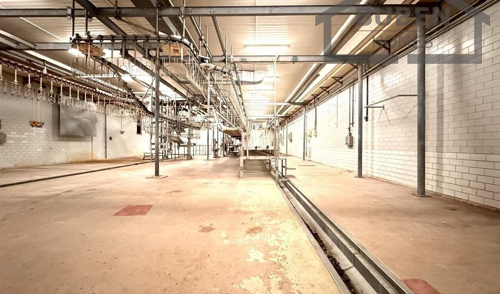 Prodej výrobních prostor 11 180 m², Lom u Tachova – náhled fotky 21