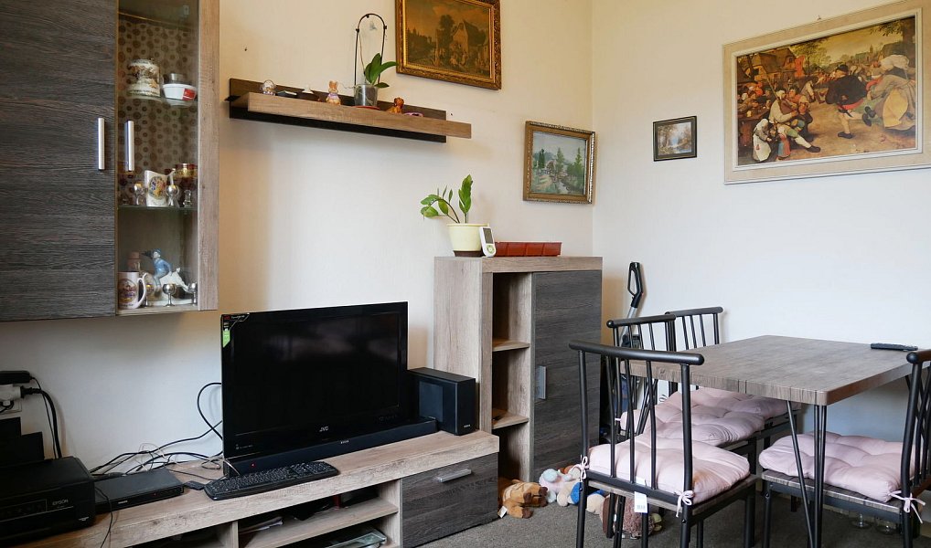 Prodej domu 112 m² s pozemkem 699 m², Plasy – náhled fotky 2