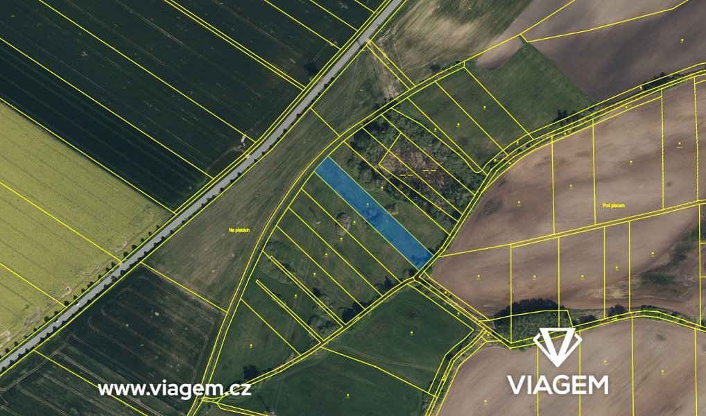 Prodej pole 2 103 m², Podůlšany – náhled fotky 2