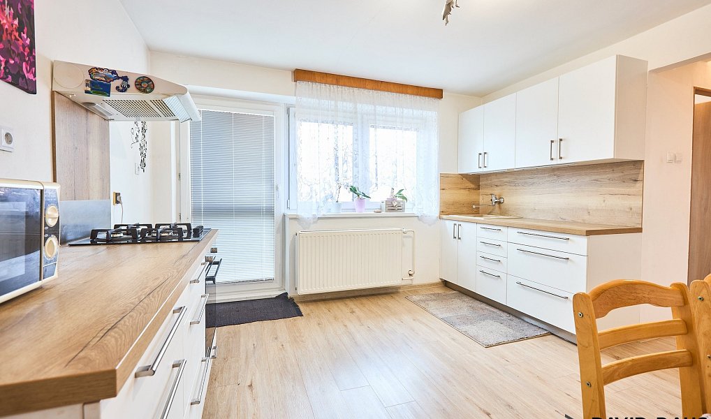 Prodej domu 232 m² s pozemkem 1 077 m², Hrušovany u Brna – náhled fotky 2