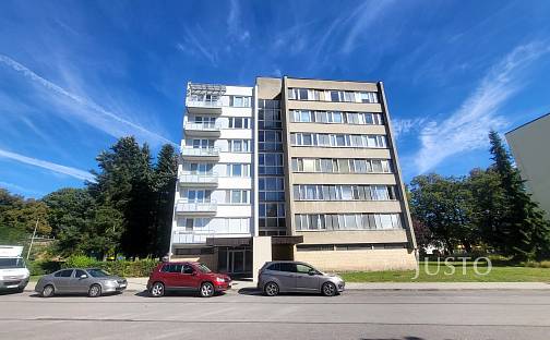 Prodej bytu 3+1 90 m², Lipová alej, Písek - Budějovické Předměstí