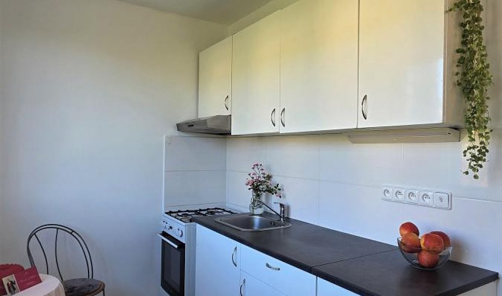 Prodej bytu 2+1 55 m², Brno – náhled fotky 6